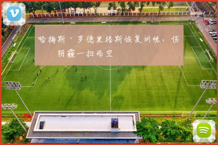 哈梅斯·罗德里格斯恢复训练，伤病阴霾一扫而空